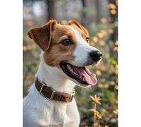 Aphila Kit de peinture diamant 5D Jack Russell Terrier à faire soi-même avec perles rondes faites à la main pour salon, chambre à coucher, décoration murale d'intérieur - 30 x 40 cm