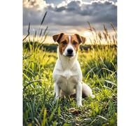 Aphila Kit de peinture diamant 5D Jack Russell Terrier - Perles rondes par numéro - Mosaïque - Broderie artistique et artisanale pour décoration murale de maison, salon, chambre à coucher - 30,5 x