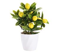 Aphmeir Citronnier artificiel en pot, 25,4 cm - Bonsaï artificiel - Décoration de citron jaune pour la décoration de la maison et de la cuisine (jaune)