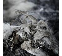 Aphonic Threnody - When Death Comes
