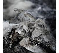 Aphonic Threnody - When Death Comes (2lp) [Import]