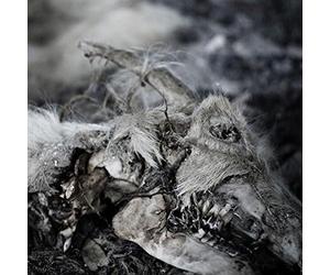 Aphonic Threnody - When Death Comes