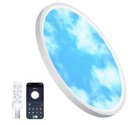 Aphyni Ø40cm Plafonnier LED Dimmable 33W, Plafonnier effet ciel ultra fin 2,5 cm pour chambre et salon avec LED intégrée, 3000K-6500K, Contrôle via Télécommande et App, Veilleuse 5W, Blanc