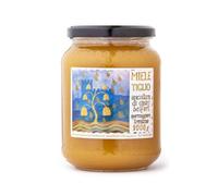 Apicoltura Castel Belfort - Miel de tilleul 100% italien, travaillé à froid, miel naturel artisanal, idéal pour les goûters, les fromages et les desserts, 1 kg