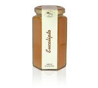 Apicoltura Cazzola Italy - Eucalyptus Honey - Jar of 350 g