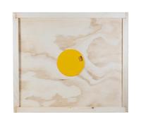 APICOLTURA.COM Porte d’évacuation Ronde à 2 Sorties avec Plateau en Bois - pour Ruche Dadant 10 Cadres - 43x50 cm - Outil pour la récolte du Miel