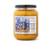 Apiculture Castel Belfort - Miel de tournesol 100% italien, travaillé à froid, miel naturel artisanal, idéal pour les goûters, les fromages et les desserts, 1 kg