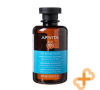 APIVITA Hydratation Hydratante Cheveux Shampooing Acide Hyaluronique & Aloés