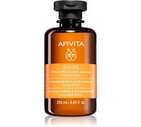 APIVITA Shampooing brillance et revitalisant pour homme et femme - Soin naturel des cheveux qui nettoie en douceur, révèle la brillance, hydrate et prévient la casse - Avec romarin, miel, 4 vitamines