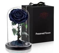 APKOL Véritable Rose Eternelle sous Verre, Fleur Eternelle, Un Cadeau d'amour Anniversaire Femme,Idee Cadeau Femme,Cadeau Maman,Cadeau Anniversaire Mariage,Cadeau Noël/Fête des Mères,Noir