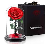 APKOL Véritable Rose Eternelle sous Verre, Fleur Eternelle, Un Cadeau d'amour Anniversaire Femme,Idee Cadeau Femme,Cadeau Maman,Cadeau Anniversaire Mariage,Cadeau Noël/Fête des Mères,Rouge