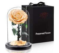 APKOL Véritable Rose Eternelle sous Verre, Fleur Eternelle, Un Cadeau d'amour Anniversaire Femme,Idee Cadeau Femme,Cadeau Maman,Cadeau Anniversaire Mariage,Cadeau Noël/Fête des Mères,Champagne