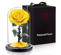 APKOL Véritable Rose Eternelle sous Verre, Fleur Eternelle, Un Cadeau d'amour Anniversaire Femme,Idee Cadeau Femme,Cadeau Maman,Cadeau Anniversaire Mariage,Cadeau Noël/Fête des Mères,Jaune