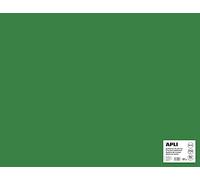 Apli 014272 Lot de 25 Feuilles de carton 500 x 650 mm Vert Foncé