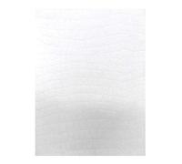 Apli 016602 20 Papier Structuré Peau de Serpent, 210 x 297mm, 90 g
