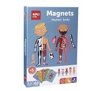 APLI 18531 - Jeu de Magnets sur Le Corps Humain - Jeu magnétique éducatif pour Apprendre Les Parties du Corps Humain.