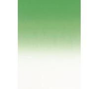 Apli DPB107 Pack de 50 Feuilles pré-imprimées A4 175 g Vert émeraude