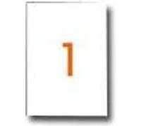 APLI PAPER - Adhésif permanent - blanc - A4 (210 x 297 mm) 100 étiquette(s) (100 feuille(s) x 1 étiquettes Blanc G