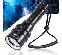 APLOS AP20 Lampe de plongée, 2000 lumens phare plongée, IPX8 étanche lampe plongée sous marine, 100m lampe plongee led professionnelle avec piles rechargeables et chargeur