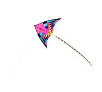 APLVFFZH Triangle Grande Taille pour Débutant avec Longue Queue Résistante Tissu Kite Cloth Décor Animé Adapté pour Jeux Extérieurs Voy, 200cm