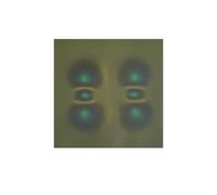 AplysiaTech Film de visualisation de champ magnétique 10,2 x 10,2 cm, affichage de flux magnétique, détecteur de motifs magnétiques, enseignement de projets scientifiques, réutilisable et récupération