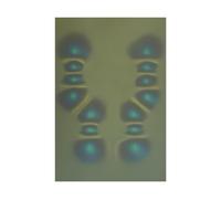 AplysiaTech Film de visualisation de champ magnétique 10,2 x 15,2 cm, affichage de flux magnétique, détecteur de champ magnétique et aide visuelle pour l'éducation physique, idéal pour la recherche et