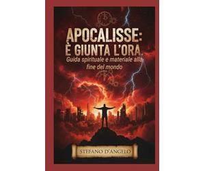 Apocalisse: è giunta l'ora: Guida spirituale e materiale alla fine del mondo