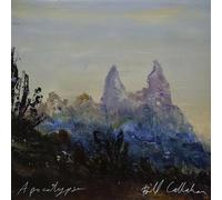 APOCALYPSE -Bill Callahan -Vinyle