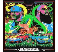 Apollo brown and stalley - Blacklight