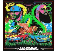 Apollo Brown – Blacklight – Import (Membran)
