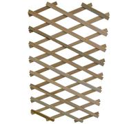 Apollo Gardening Ltd Treillis en Bois Extensible avec Support pour Plantes Robuste