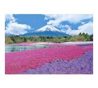 Apollo, Inc. 300 Piece Jigsaw Puzzle Aim! Puzzle Master Shibaura Blooming Fuji - Yamanashi (26 X 38 Cm) (japan import) G