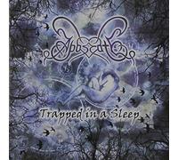 Trapped in a Sleep