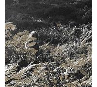 Apostille - Prisoners of Love and Hate