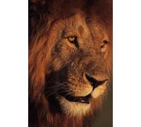 APOSTLE'S PAGES: FROM DRY BONES TO VICTORY WITH ADDENDUM