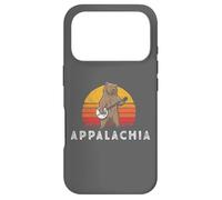 Appalachia Bluegrass Banjo Bear Funny Retro Coque pour iPhone 17 Pro