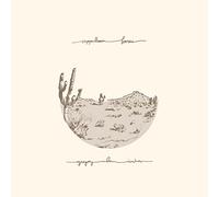 Appaloosa Bones/Vinyle Marron