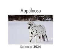 Appaloosa (Wandkalender 2024, Kalender DIN A4 quer, Monatskalender im Querformat mit Kalendarium, Das perfekte Geschenk)