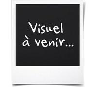 Appareil a Raclette HKoeNIG WOD360 Jusqu a 8 personnes Pierre a cuire base rotative D Bois G