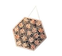 Appareil de conservation éducatif Flying Friend avec construction en bois robuste et forme géométrique scientifique pour espace de vie idéal abri extérieur