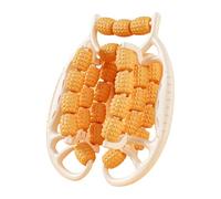 Appareil de massage avancé à 29 rouleaux pour soulager les tensions musculaires et stimuler les flux sanguins pour des jambes plus minces Machine de massage amincissante