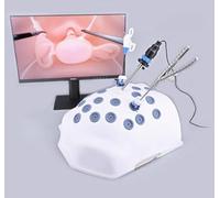 Appareil de simulation de chirurgie laparoscopique avec module endoscopique et instruments pour la formation médicale