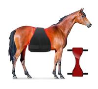 Appareil De Thérapie Par La Lumière Rouge LED For Tout Le Corps Du Cheval, Ceinture De Thérapie Par La Lumière Rouge For Cheval, Thérapie Par La Lumière Profonde For La Récupération Musculaire Du Chev