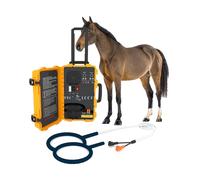 Appareil de thérapie pour chevaux, équipement électromagnétique portable, intensité d'énergie réglable, favorise la santé osseuse