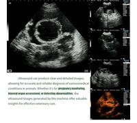 Appareil D'échographie Vétérinaire Portable Testeur De Grossesse à Ultrasons Multifonctionnel,ultrason B portable avec affichage LED pour élevage de bovins, porcs, chèvres, chevaux(Convex Array Probe)