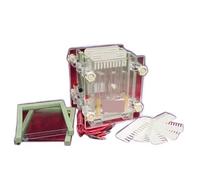 Appareil d'électrophorèse, Appareil D'électrophorèse Verticale En Sandwich À Double Plaque DYCZ-28C