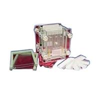 Appareil d'électrophorèse, Instrument D'électrophorèse Verticale Sandwich À Double Plaque Électrophorèse Sur Gel De Protéines DYCZ-28C
