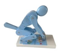 Appareil d'entraînement lombaire pour l'anatomie biomécanique, modèle de démonstration des forces exercées sur la colonne vertébrale lors de la flexion et de l'haltérophilie, illustrant les forces d