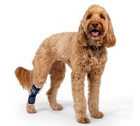 Appareil orthopédique convalescence pour le jarret ppur Chien BALTO BT HOCK Taille M