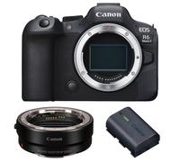 Appareil photo hybride Canon EOS R6 Mark II + EF-EOS R + 1 Canon LP-E6NH + Ebook 20 astuces pour des images qui claquent
